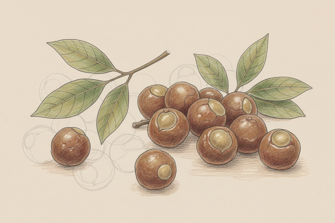 The Real Story Behind "Natural Surfactants"